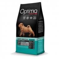 copy of Divinus Performance...