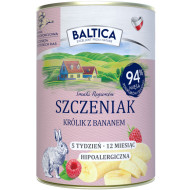 copy of BALTICA Szczeniak...