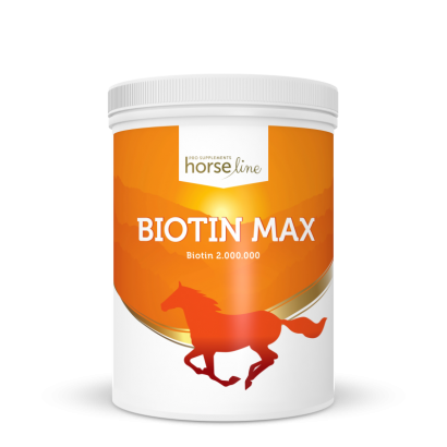 HorseLine BiotinMax 1000g